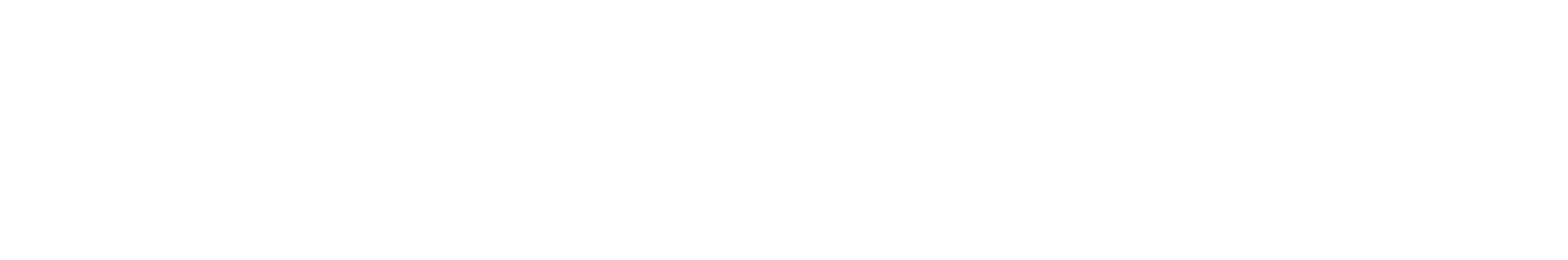 Secure Vaults Logistics